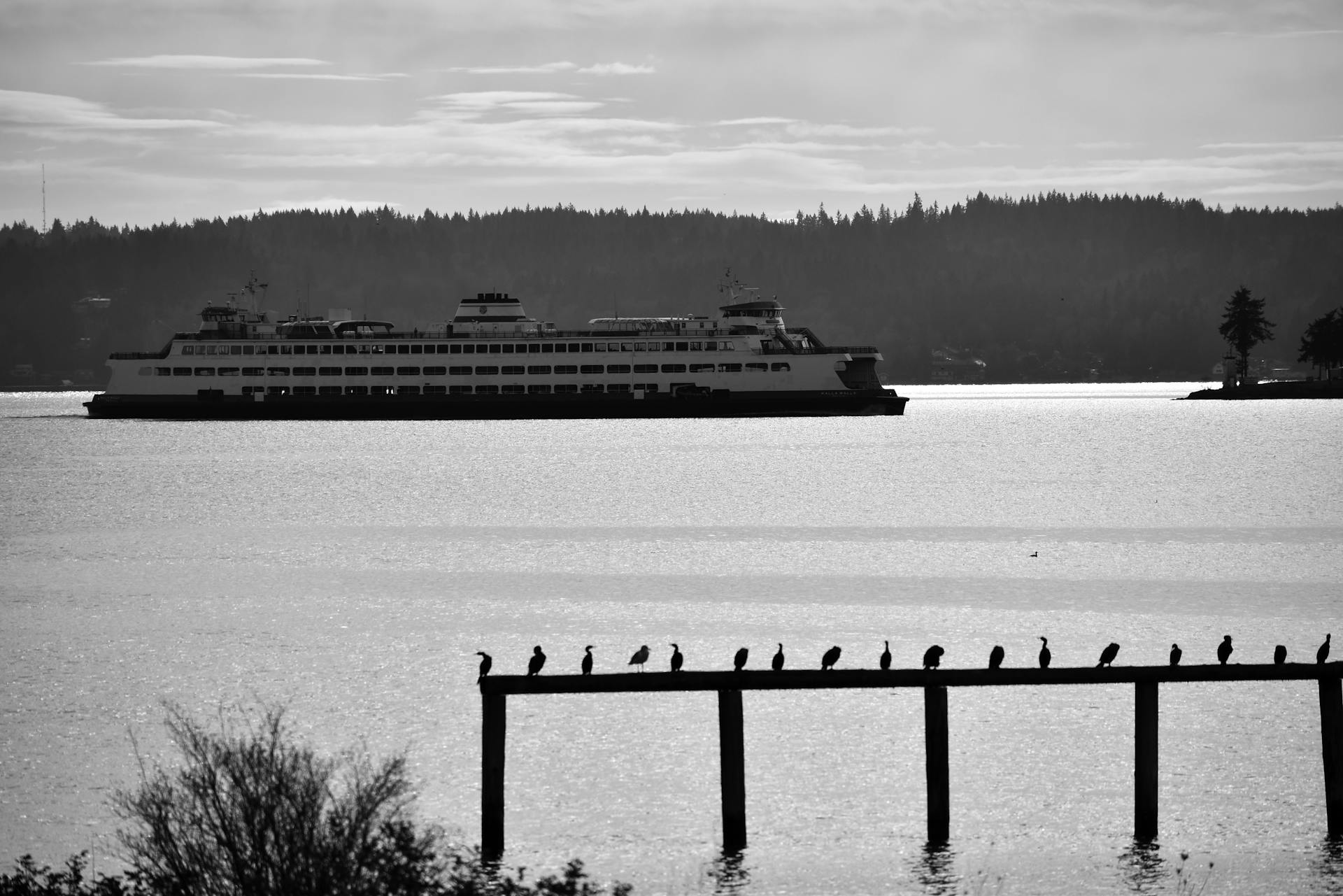 MV Spokane Ferry on Sea Coast