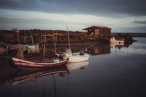Foto profissional grátis de água, barcos, barcos a vela