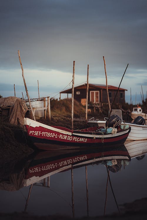 Foto profissional grátis de ancorado, barco de pesca, barracão