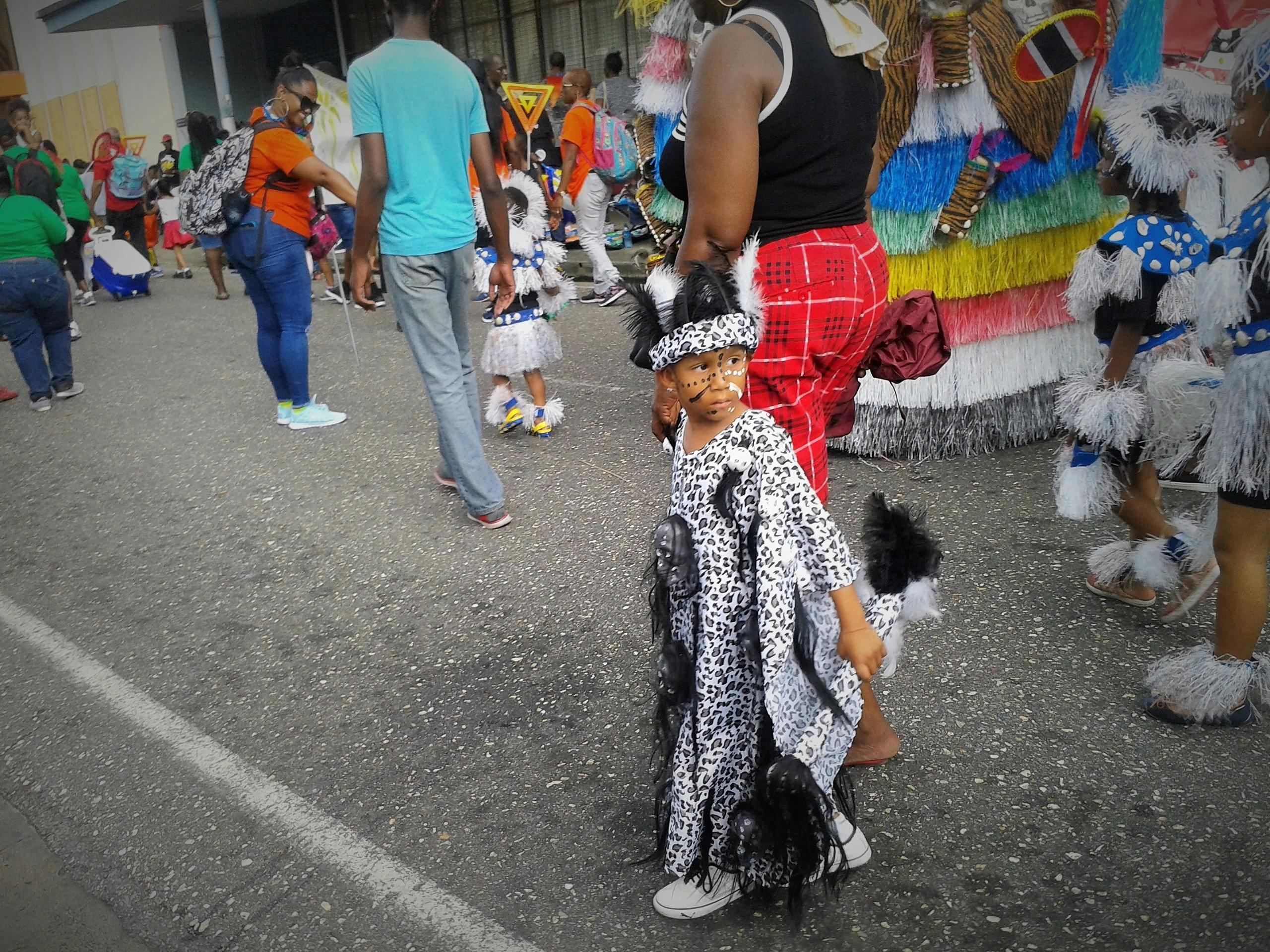 Free stock photo of Carnival animal print costume