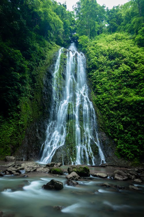 Waterfall in Green Forest