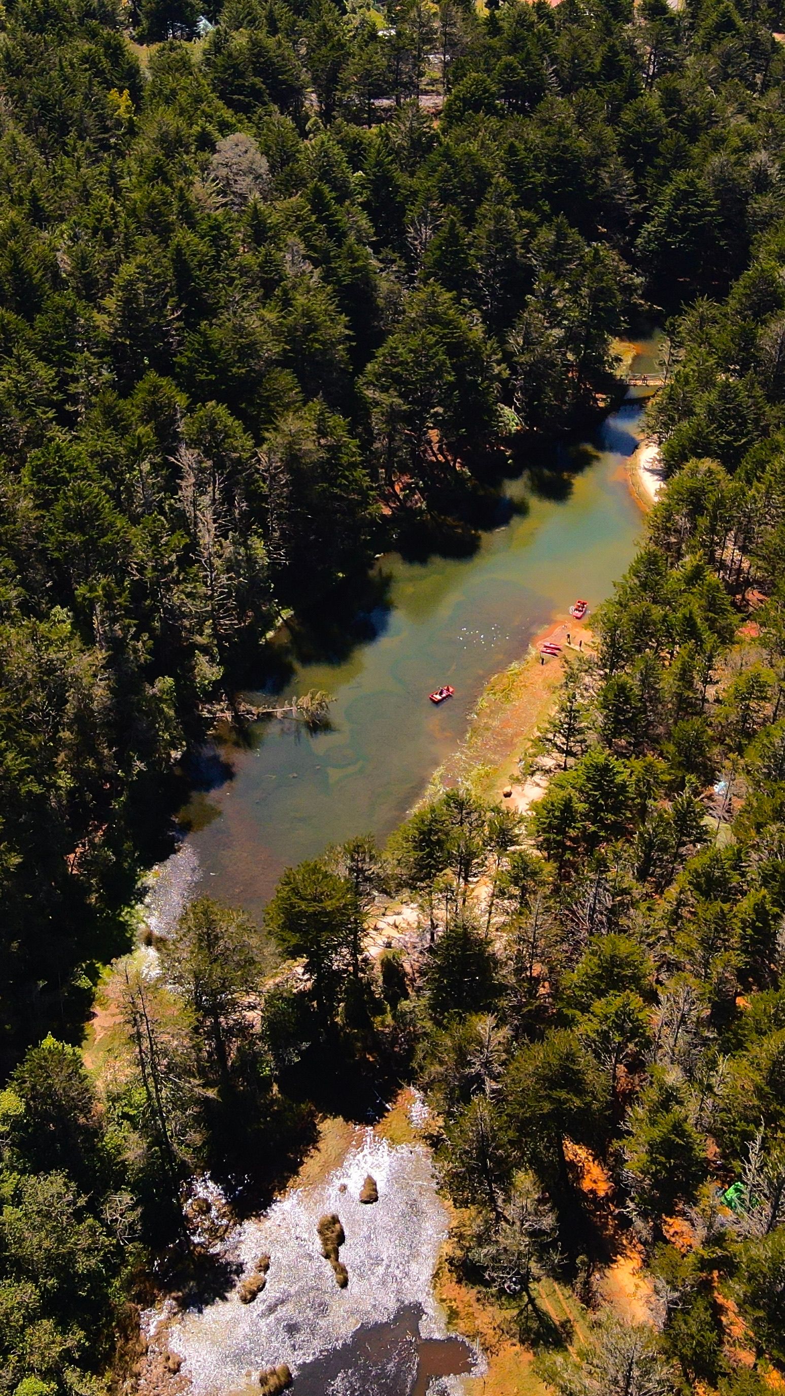 Fotomural Vista aérea de un lago tranquilo en el bosque rodeado de árboles densos, ideal para los amantes de la naturaleza.