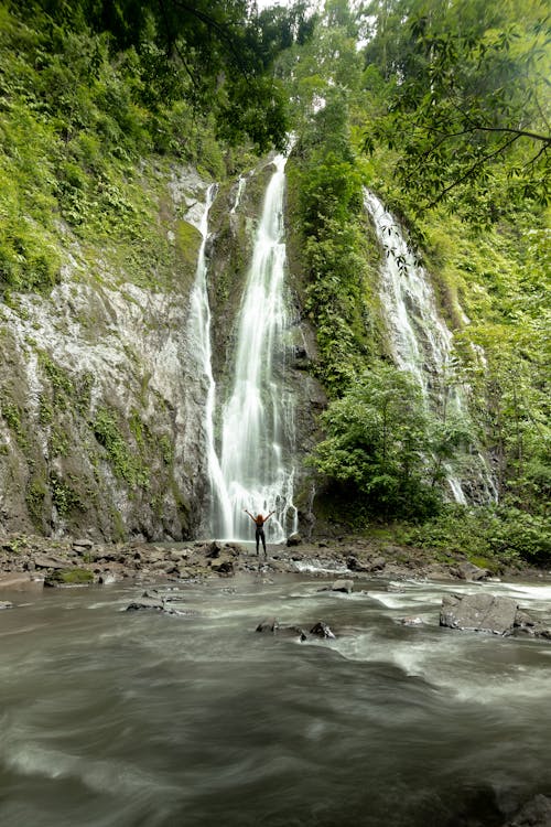Бесплатное стоковое фото с вертикальный выстрел, водопад, дикая природа