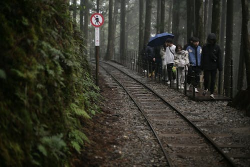 People Hiking near Railway in Forest