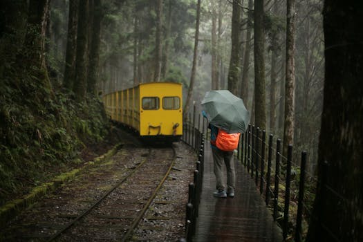 Person with umbrella on misty forest path, yellow train approaches.