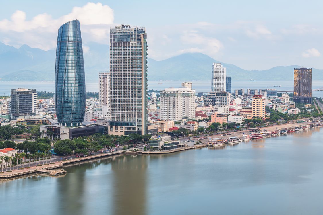 giải pháp lưu trú đà nẵng khi có thú cưng