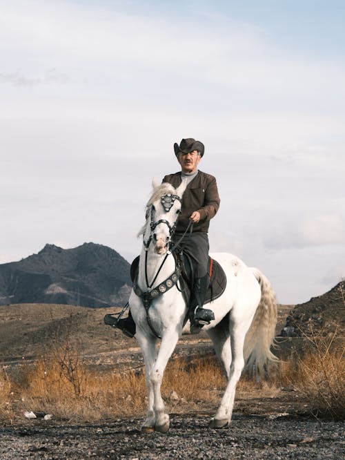 Cowboy on White Horse
