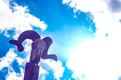 Free stock photo of blue sky, cloudy, horns