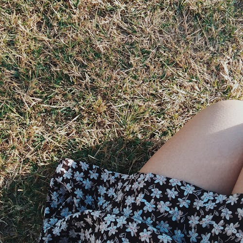 Free stock photo of dress, floral dress, golden hour