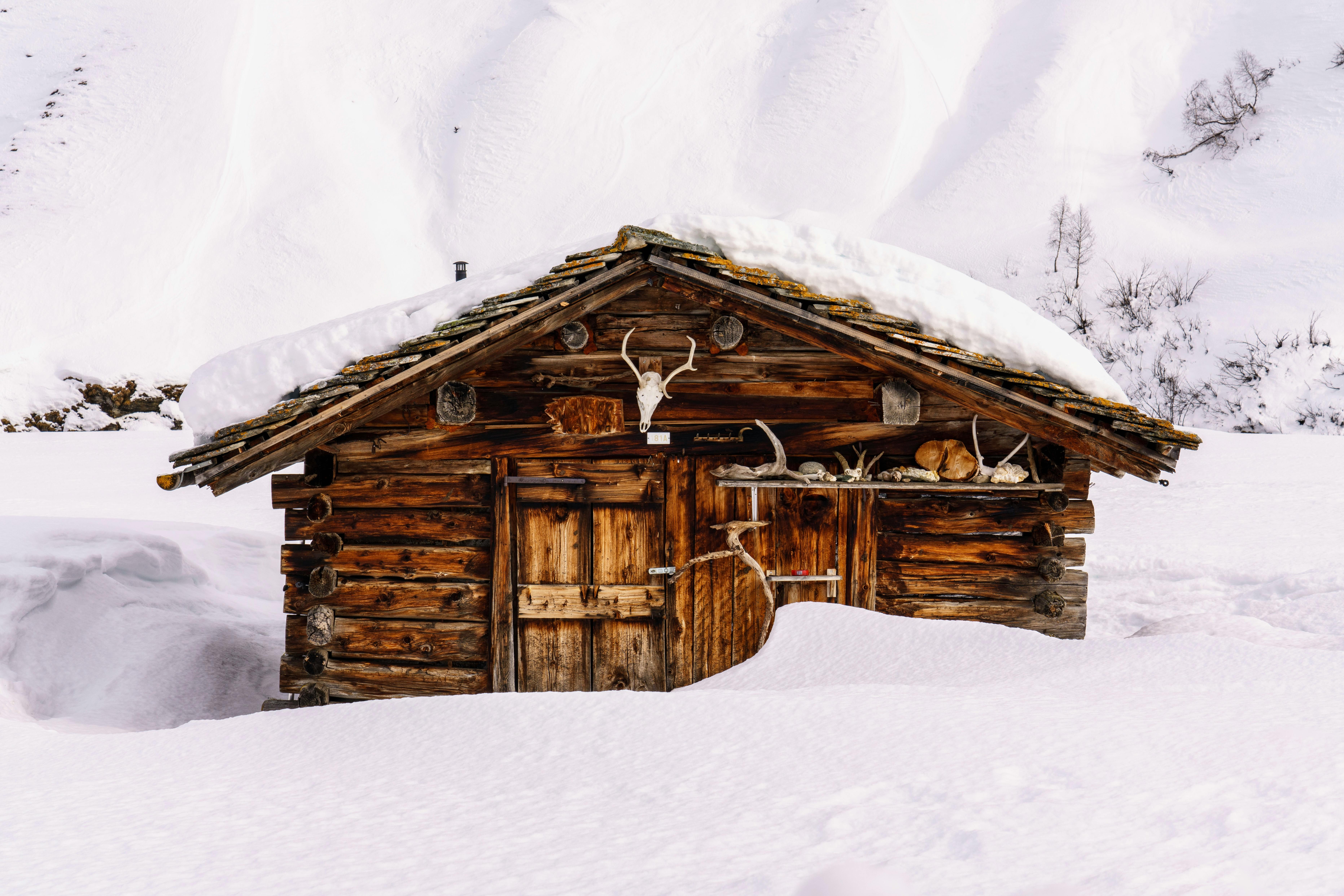 A charming wooden cabin surrounded by snow, showcasing a serene winter rural setting.