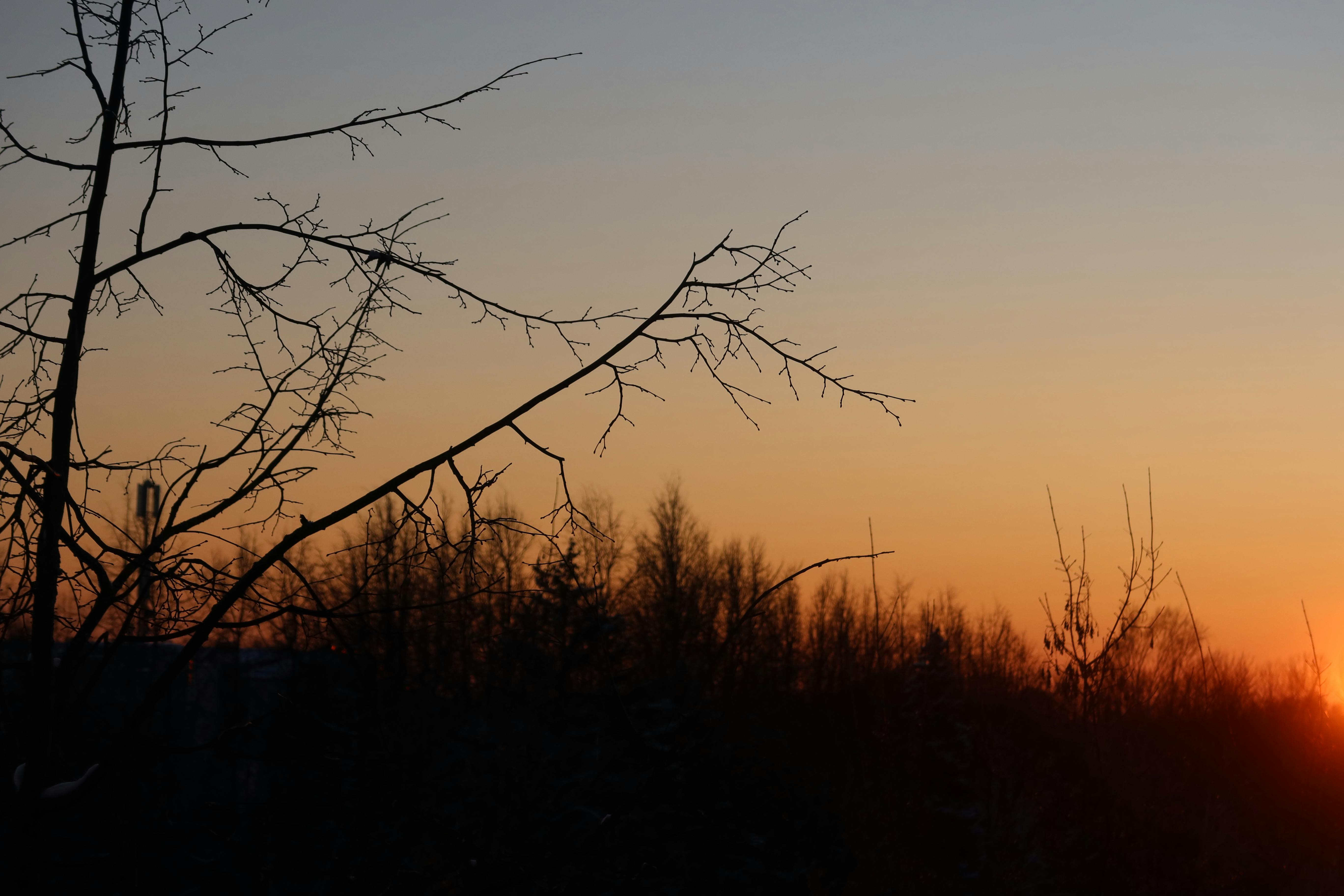 Ilze Ļihačova Photography