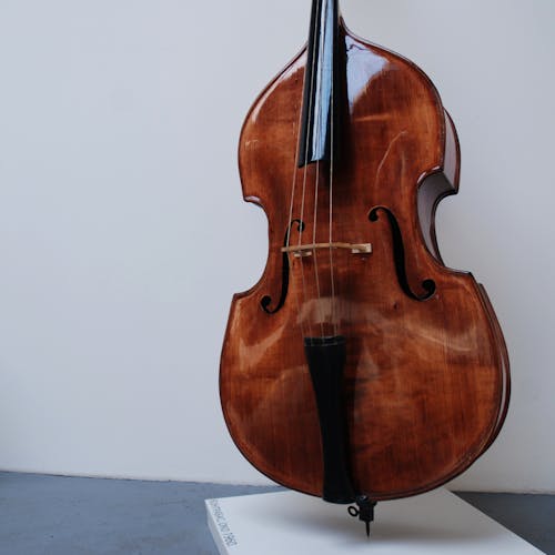 Darmowe zdjęcie z galerii z bas, instrument muzyczny, kontrabas