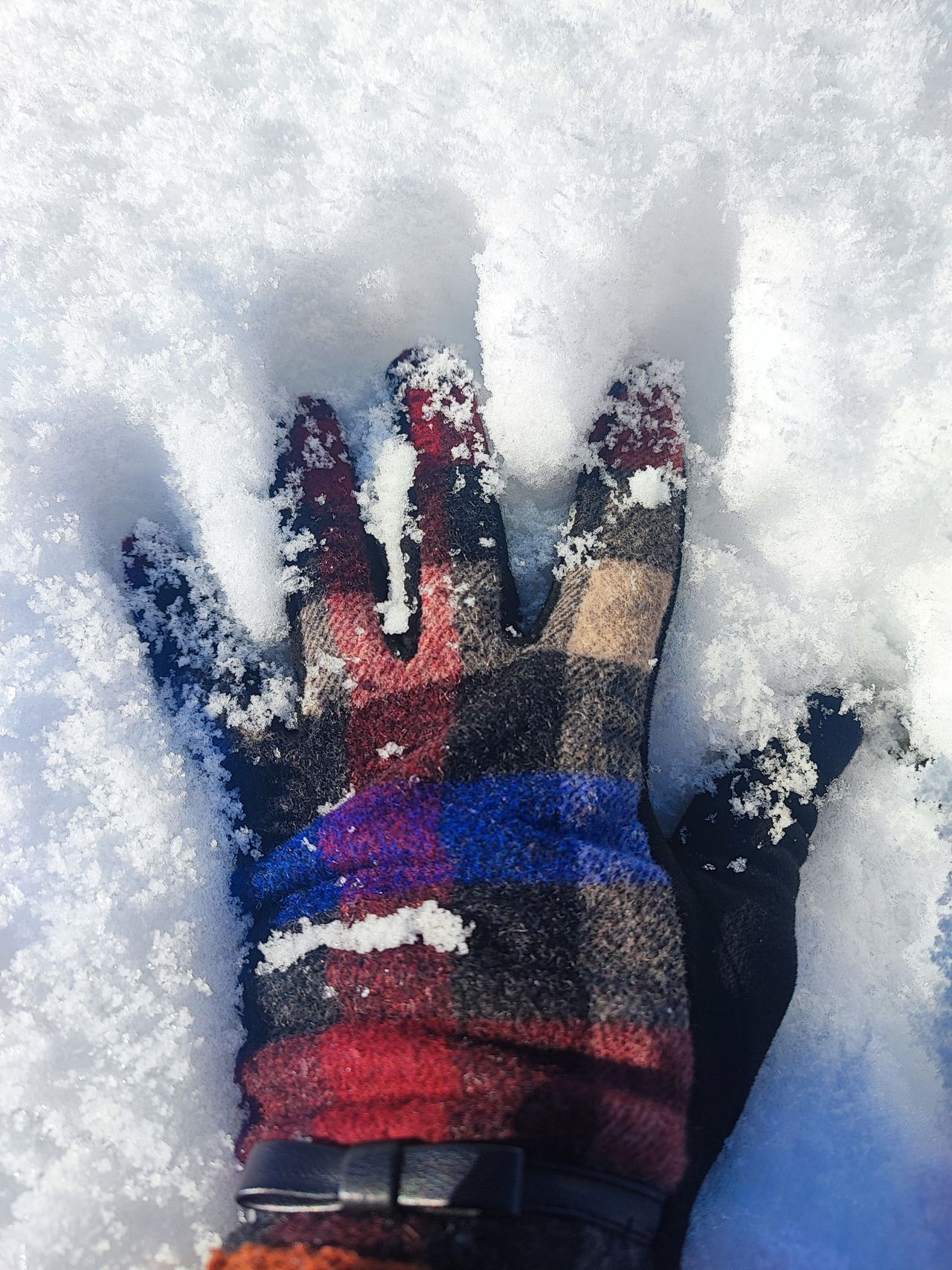 Warm plaid winter glove pressed into fresh snow