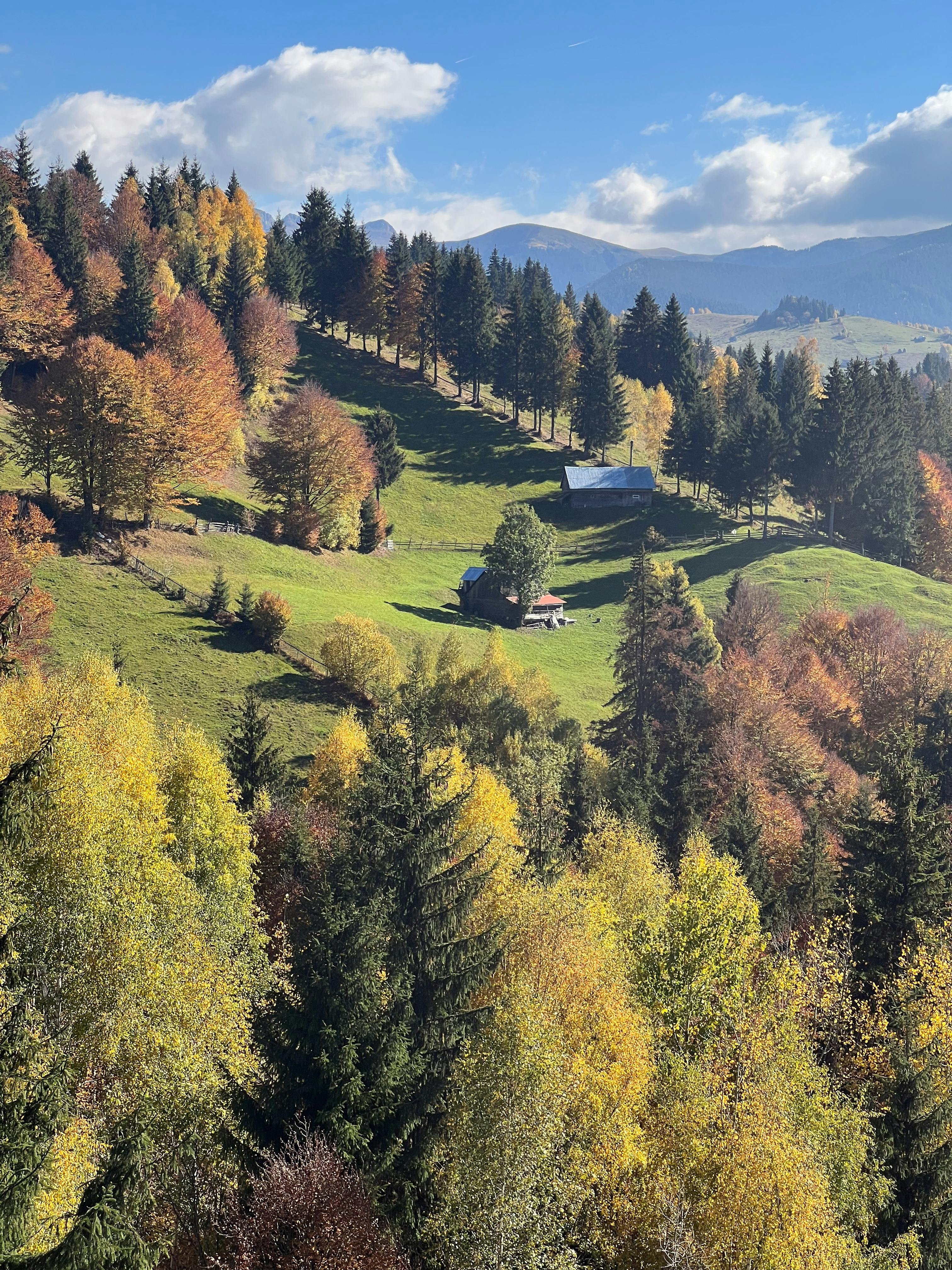 Gorges, Salt & Saxon Souls — day trip from Cluj-Napoca