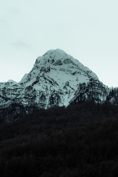 Free A breathtaking view of a snow-covered mountain peak surrounded by a forest in winter. Stock Photo