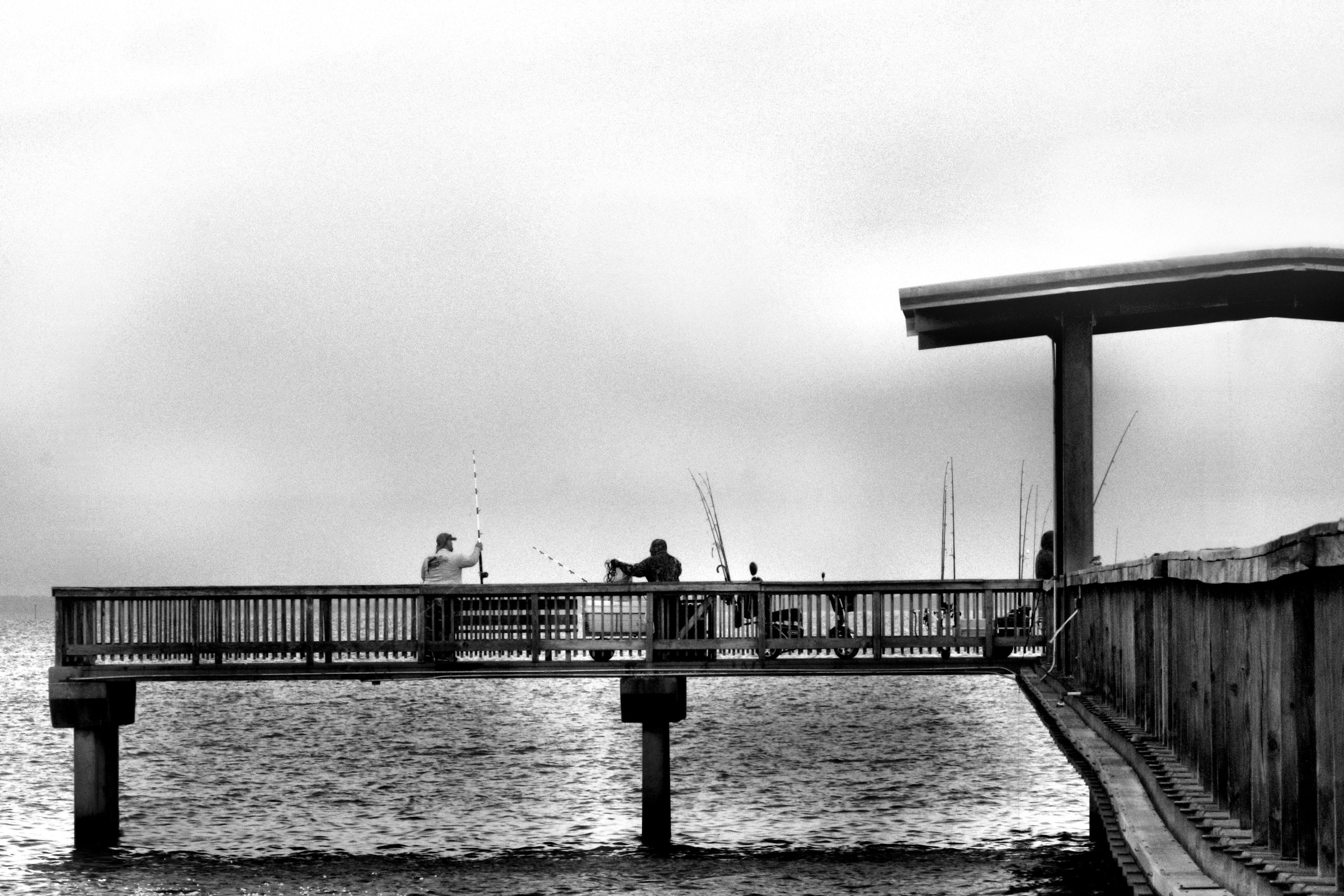 Free stock photo of pier ocean fishing black-and-white