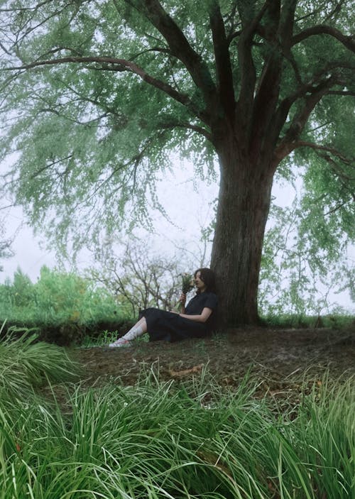 A Person Sitting Under a Tree