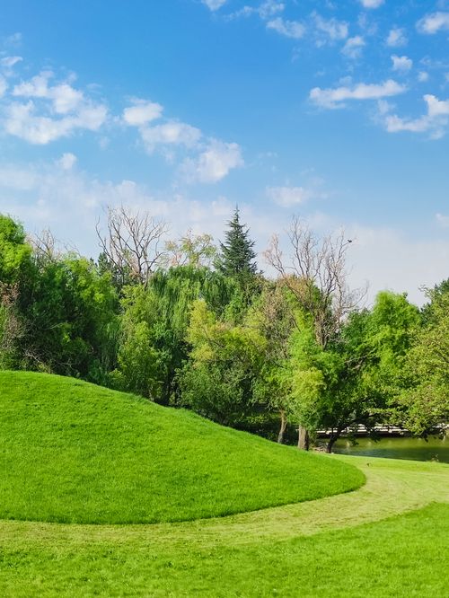 Free Lush green hills and vibrant trees under a clear blue sky in Kırşehir, Türkiye. Stock Photo