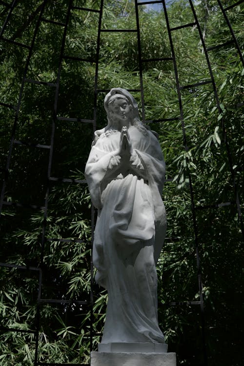 Gratis arkivbilde med busker, jomfru maria, katolsk