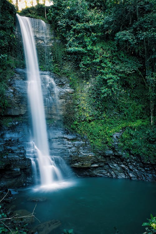 Foto d'estoc gratuïta de aigua, bosc, cascada