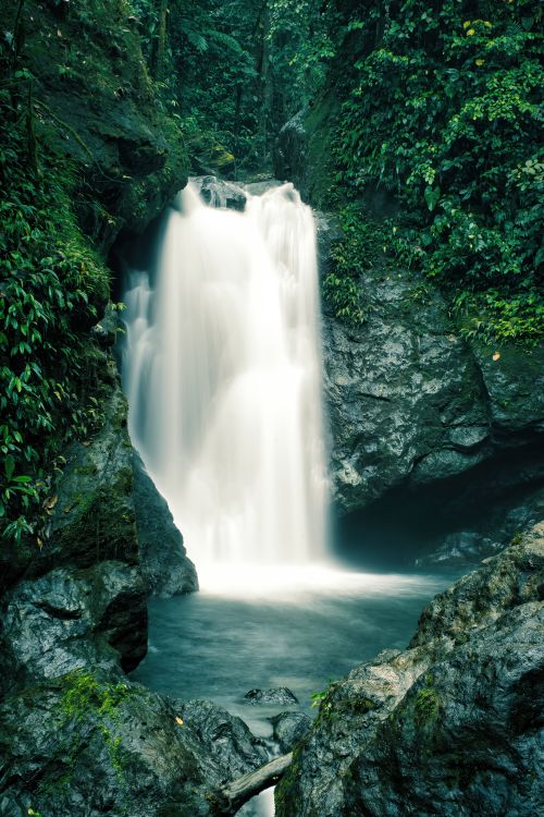Free A tranquil waterfall cascading in a lush tropical jungle creating a serene environment. Stock Photo