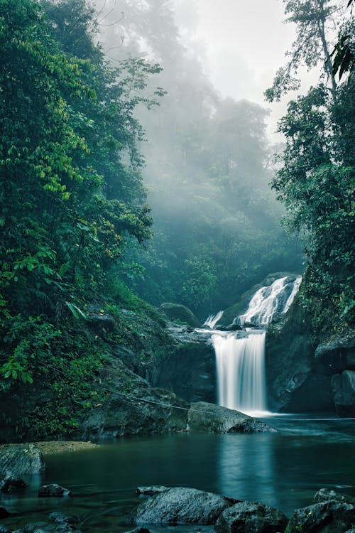 Waterfall in a Jungle 