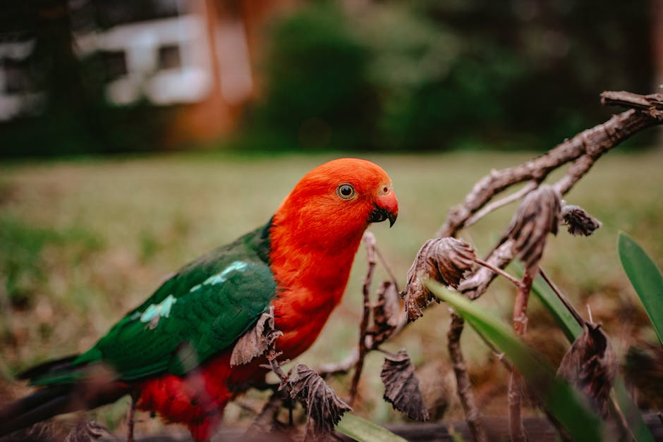 The Surprising Psychological Impact of Color on Mood