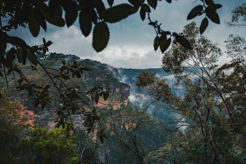 Cloudy day in the Blue Mountains 