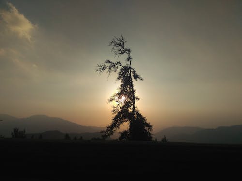 akşam Güneşi, çevre, dağlar içeren Ücretsiz stok fotoğraf