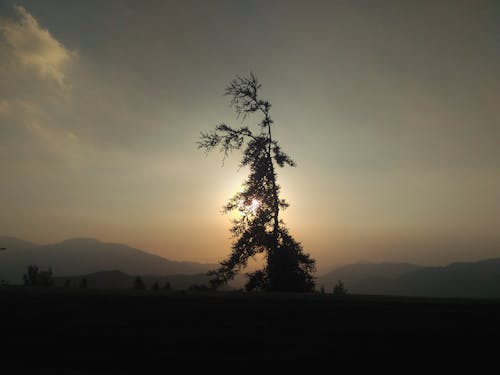 Free stock photo of backpacker, calm, chile