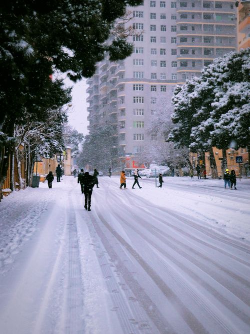 Free Capturing a snowy urban street with pedestrians walking amidst tall buildings and snow-laden trees. Stock Photo