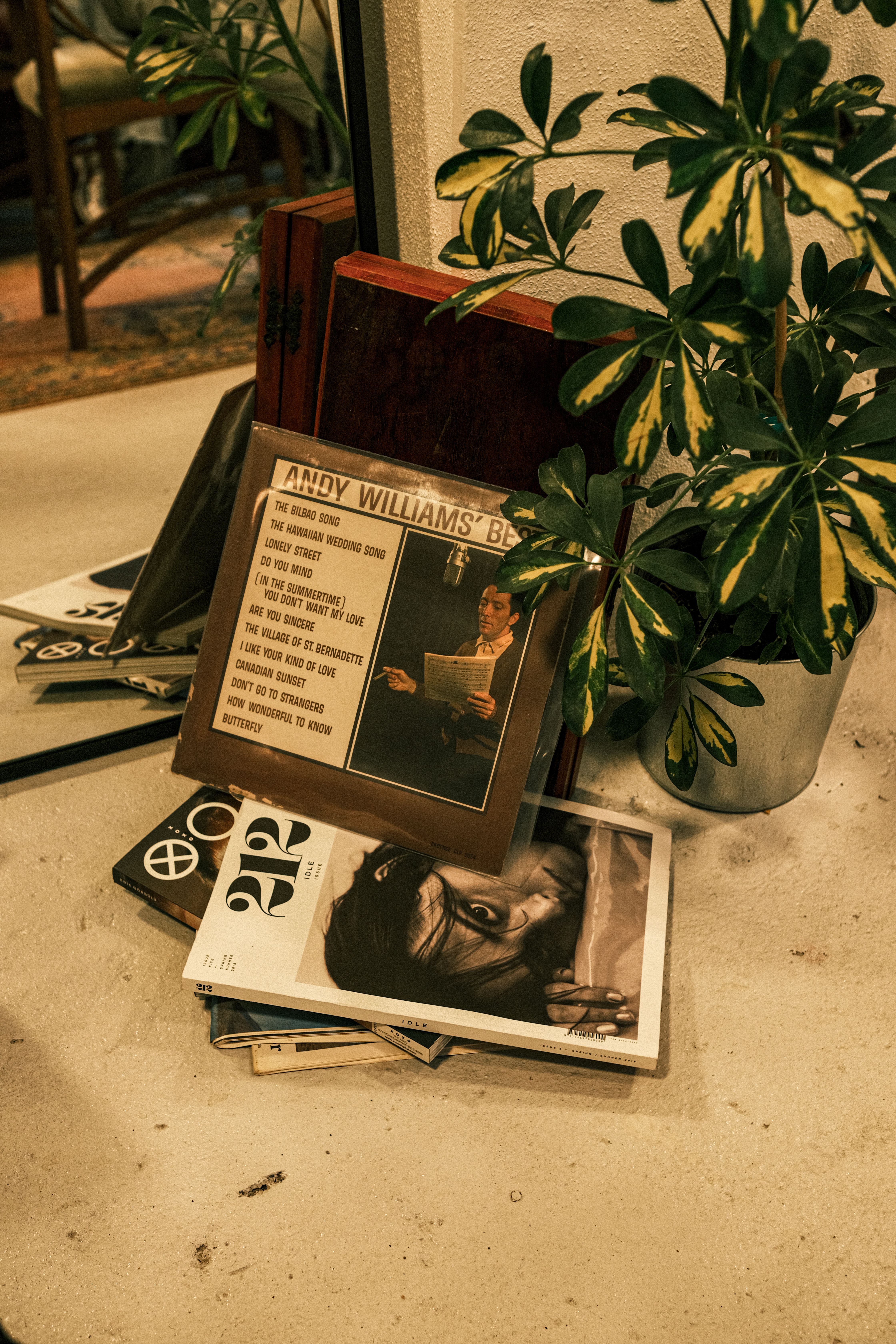 A cozy indoor setup featuring a vintage record collection beside a potted plant and a mirror.