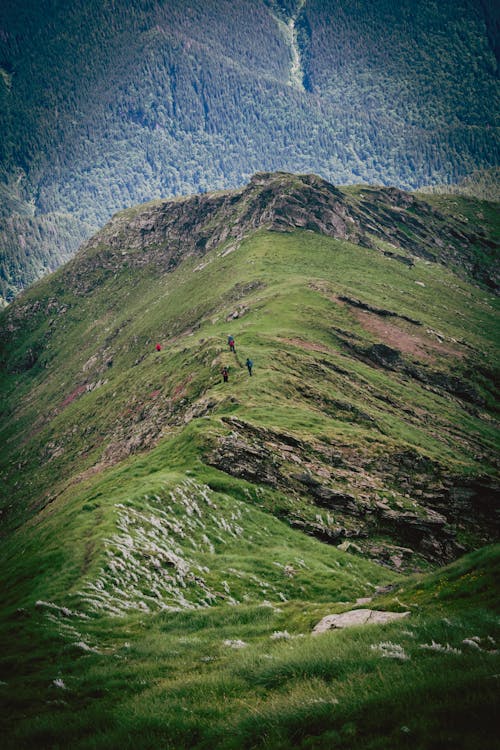 Gratis lagerfoto af 4k, 4k-baggrund, å