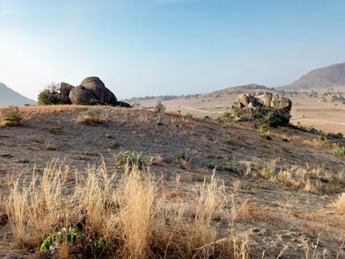 Landscape of a Desert with Hills and Rocks 