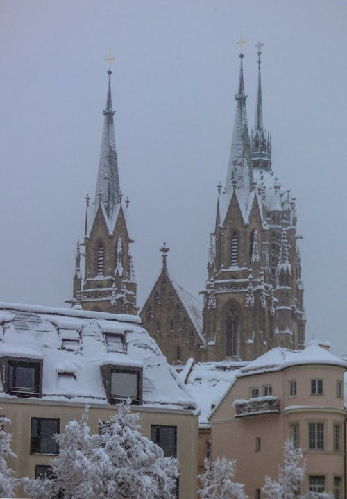 View of Buildings and a Cathedral in City Covered in Snow 