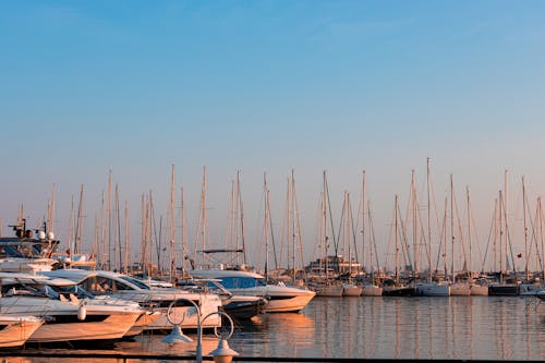 Sailboats and Yachts in the Harbor at Sunset