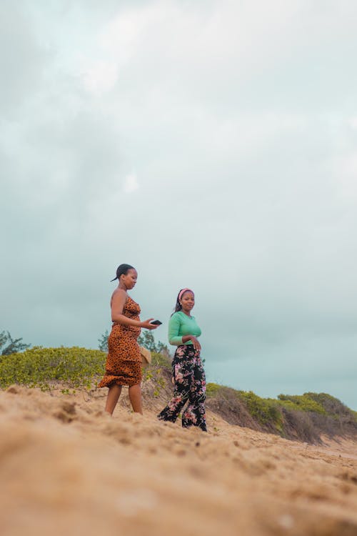 Základová fotografie zdarma na téma afroamerický, jižní afrika, krásná příroda