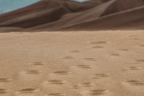 Footprints on a Desert 