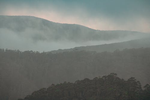 Kostnadsfri bild av bergen, dal, dimma