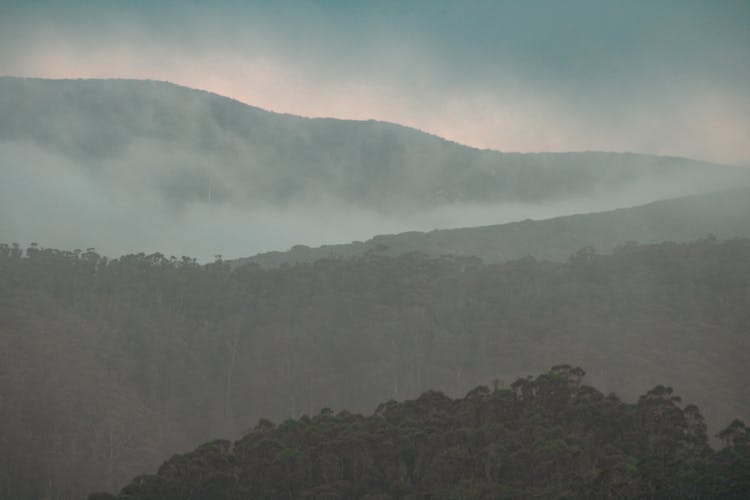 Foggy Hills With Trees