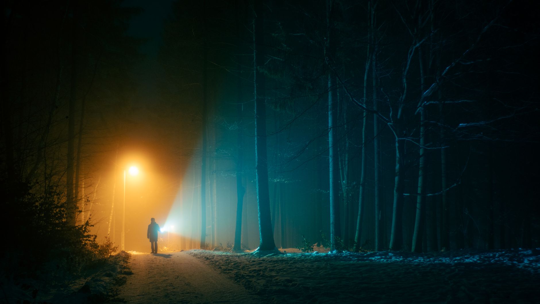 A lone figure walks through a foggy forest at night, illuminated by eerie lights. A lone figure walks through a foggy forest at night, illuminated by eerie lights.