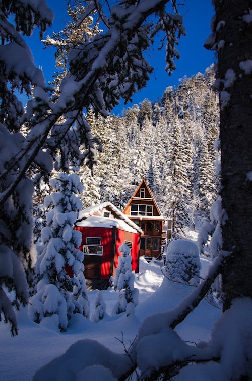 Foto stok gratis cottage, dingin, gunung