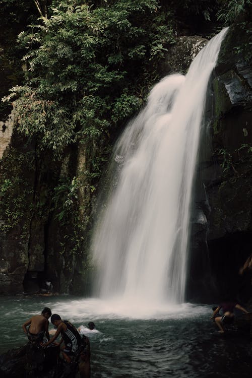 People by Waterfall in Forest