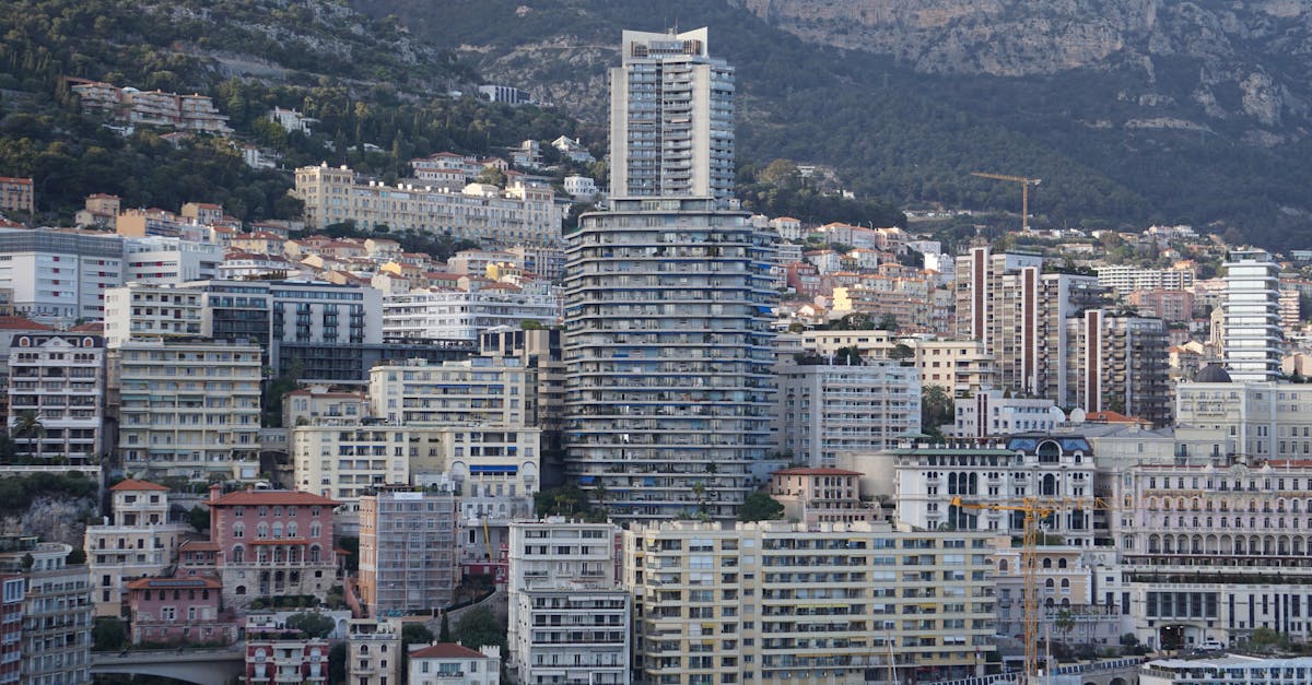 國際:高雄市立場保守影響政策走向,經濟發展面臨挑戰