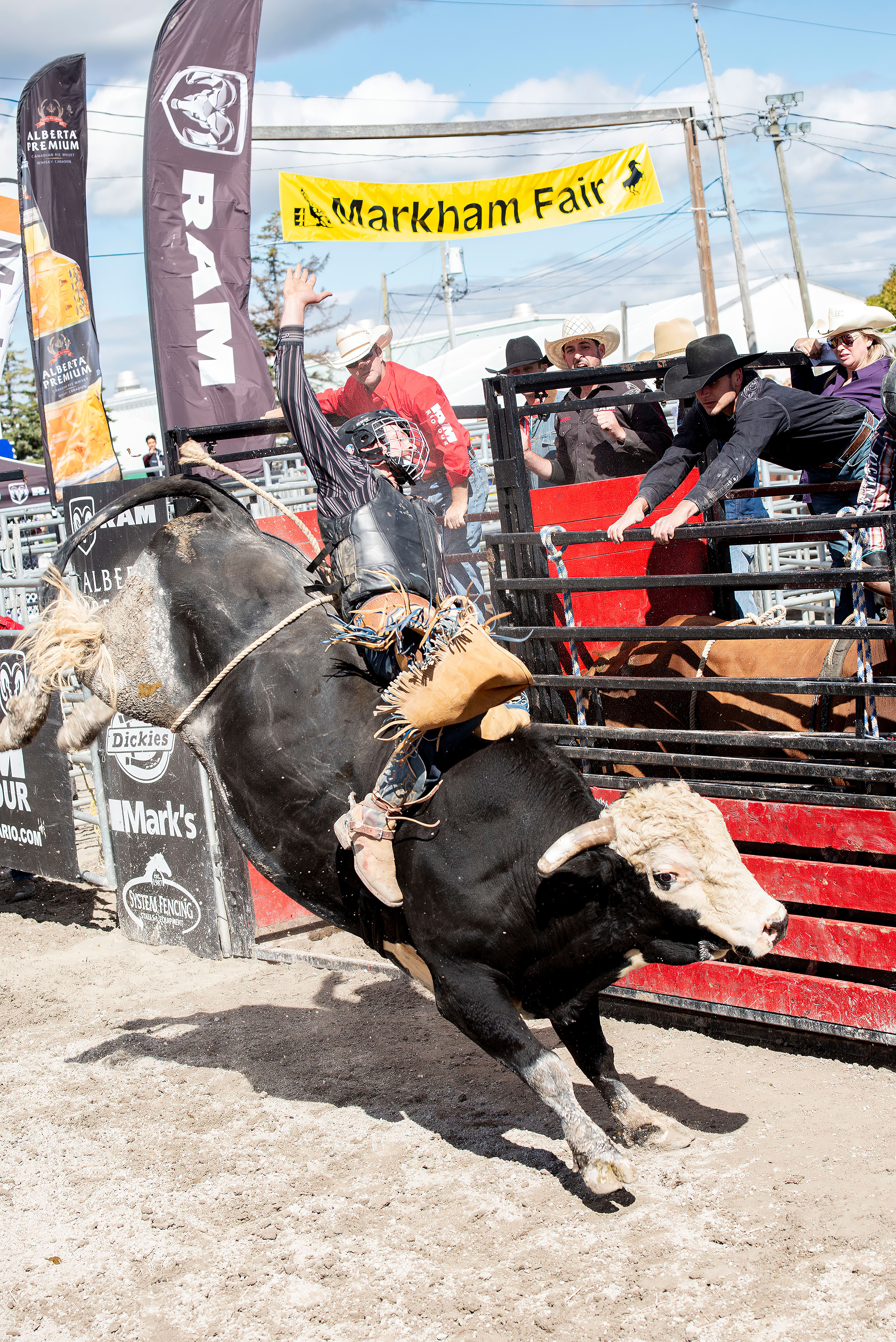 Cowboy on Bull in Rodeo · Free Stock Photo