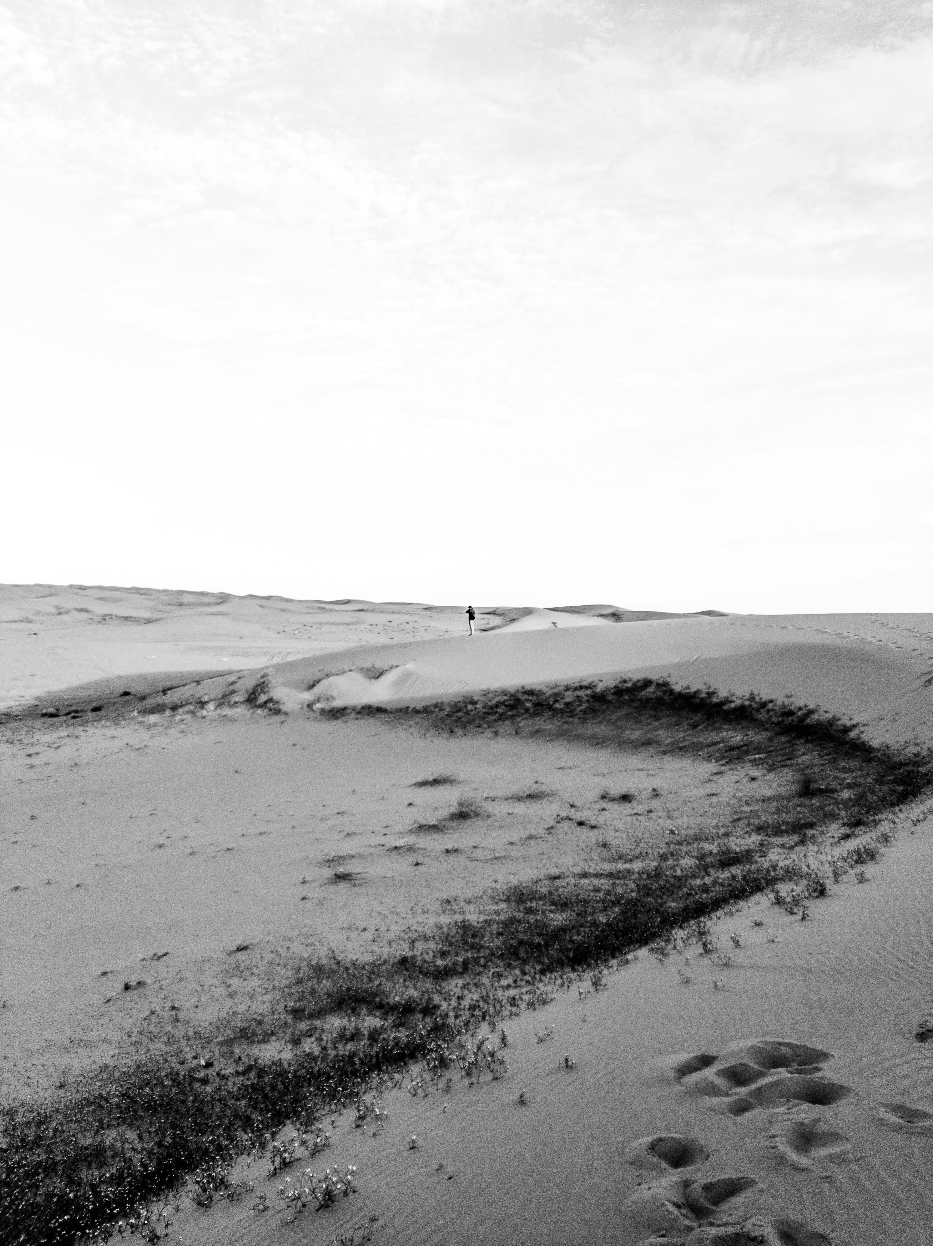 Barren Desert and Walking Person behind · Free Stock Photo