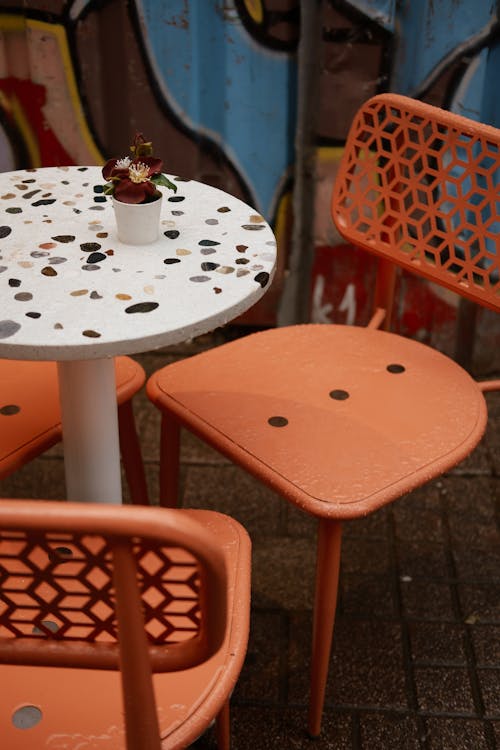 Foto d'estoc gratuïta de cadires, cafeteria, disseny