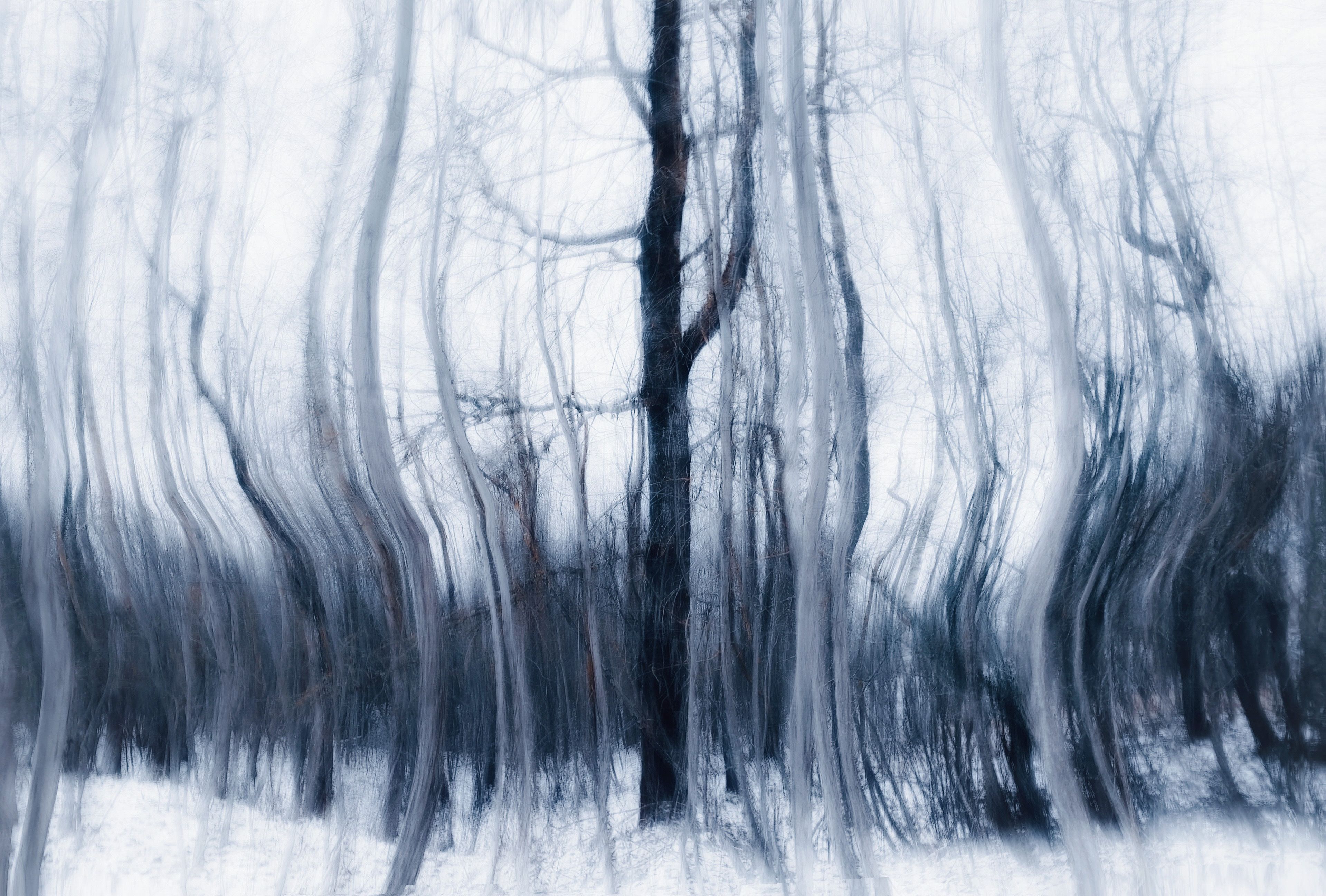 Abstract art of a winter forest with blurred trees creating an eerie, atmospheric effect.