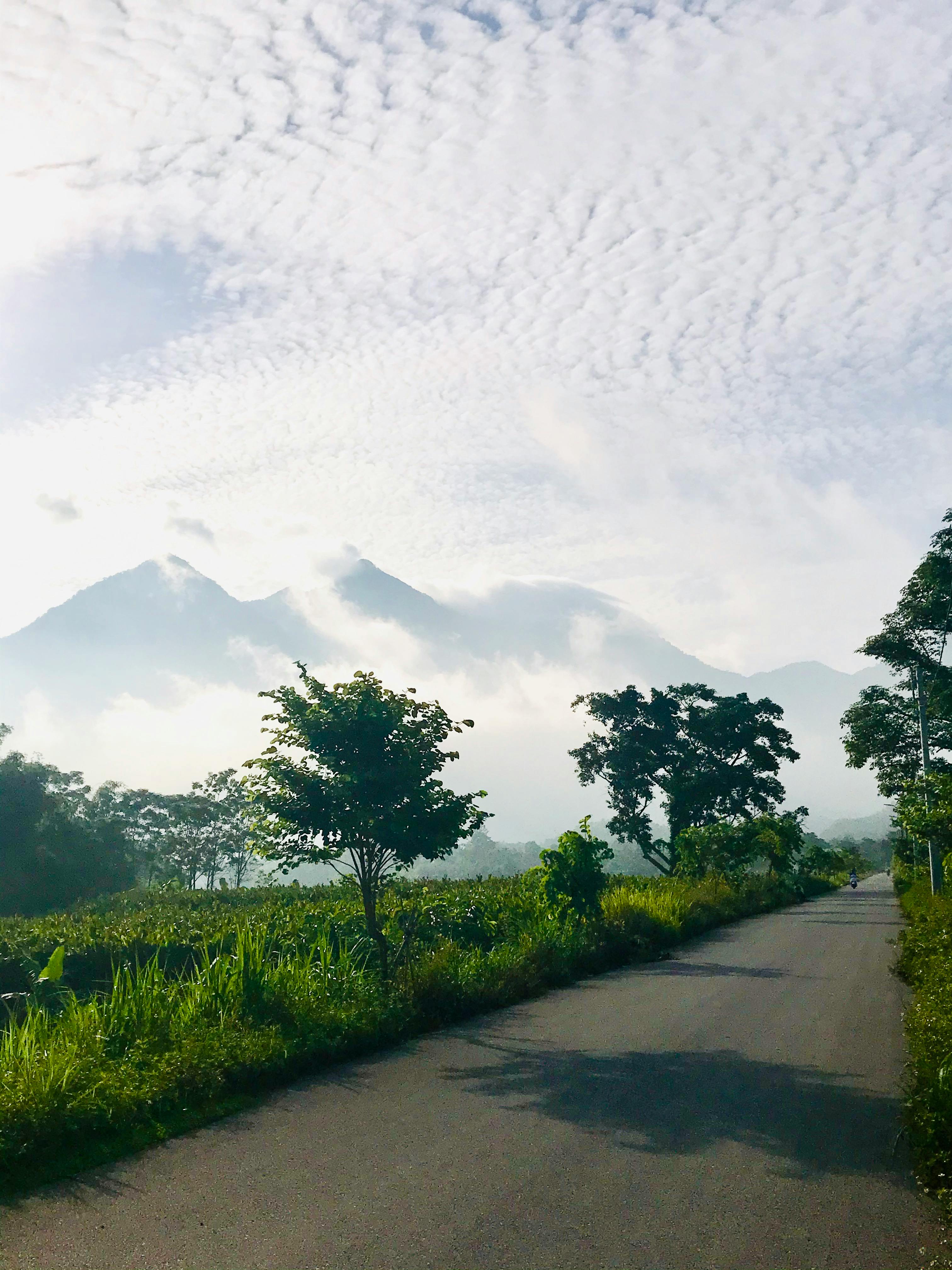 Quiet cycling road through Sidemen valley with rice paddies and Mount Agung rising behind in east Bali