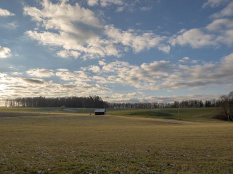 Peaceful countryside with a lone cottage at dawn, surrounded by fields and forests.
